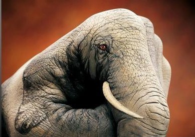 Art insolite : peinture sur mains ! Art insolite : peinture sur mains !
