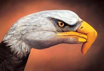Art insolite : peinture sur mains ! Art insolite : peinture sur mains !