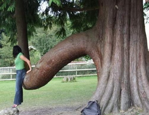 Les zizis les plus insolites !