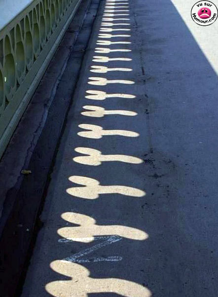 Les zizis les plus insolites !