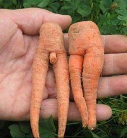 Des fruits et légumes aux formes sexy !