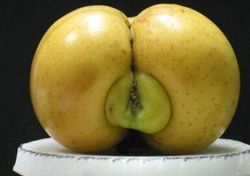 Des fruits et légumes aux formes sexy !
