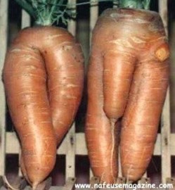 Des fruits et légumes aux formes sexy ! Des fruits et légumes aux formes sexy !
