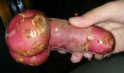 Des fruits et légumes aux formes sexy ! Des fruits et légumes aux formes sexy !