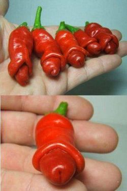 Des fruits et légumes aux formes sexy !