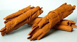 bois bandé bois bandé