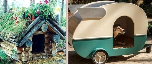 Des niches pour chien, originales et insolites ! Des niches pour chien, originales et insolites !