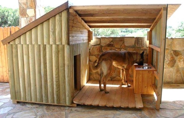 Maisonnette en bois pour chien
