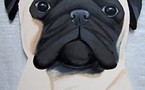 Peintures : les créations d'Ingrid !