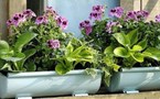 Recyclez vos gouttières en zinc !