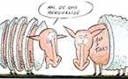 Dessins humoristiques Impôts et taxes !