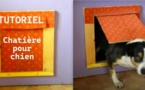 Comment faire une chatière pour chien !