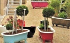 Vieilles baignoires recyclées pour le jardin !
