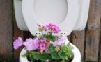 Les décos insolites et créatives au jardin !
