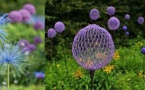 Faire de fausses fleurs pour égayer le jardin !