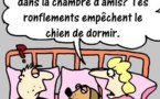 Dessins drôles : les couples au lit !