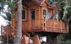 Belles Maisons en bois dans les arbres