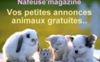 Les petites annonces gratuites pour Animaux