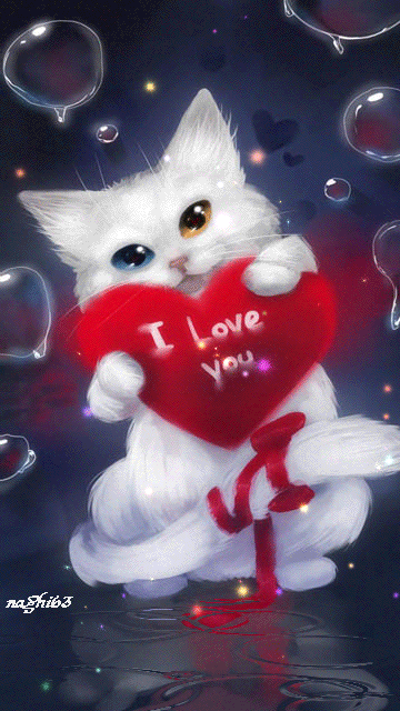 Gifs animés chats de Noël Gifs animés chats de Noël