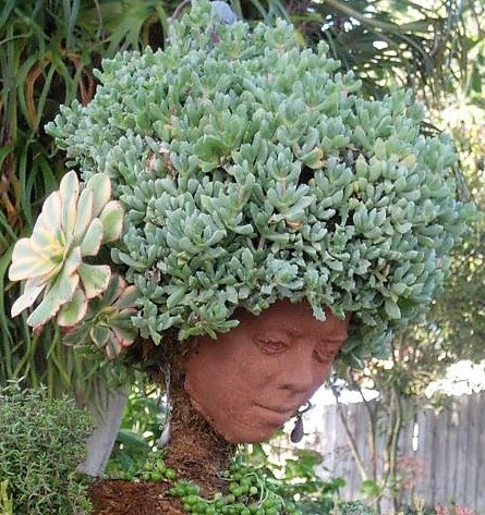 Décorations statues à têtes végétalisées Décorations statues à têtes végétalisées