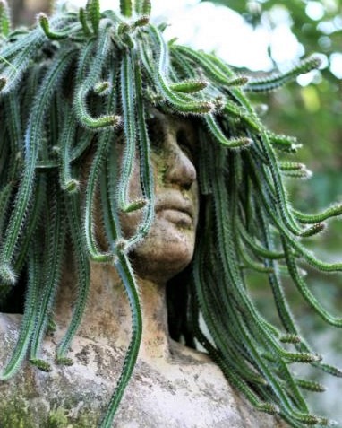 Décorations statues à têtes végétalisées Décorations statues à têtes végétalisées
