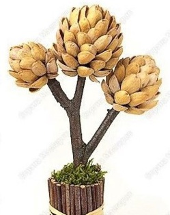 Idées créations en coques de pistaches Idées créations en coques de pistaches