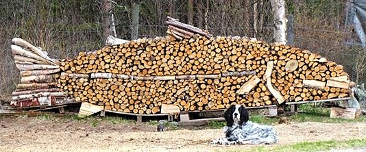 Tas de bois insolites et artistiques