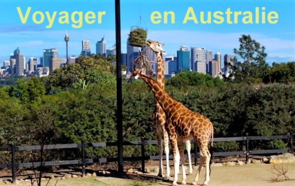 Voyager en Australie en famille : les sites touristiques à privilégier Voyager en Australie en famille : les sites touristiques à privilégier