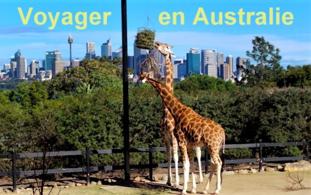 Voyager en Australie en famille : les sites touristiques à privilégier