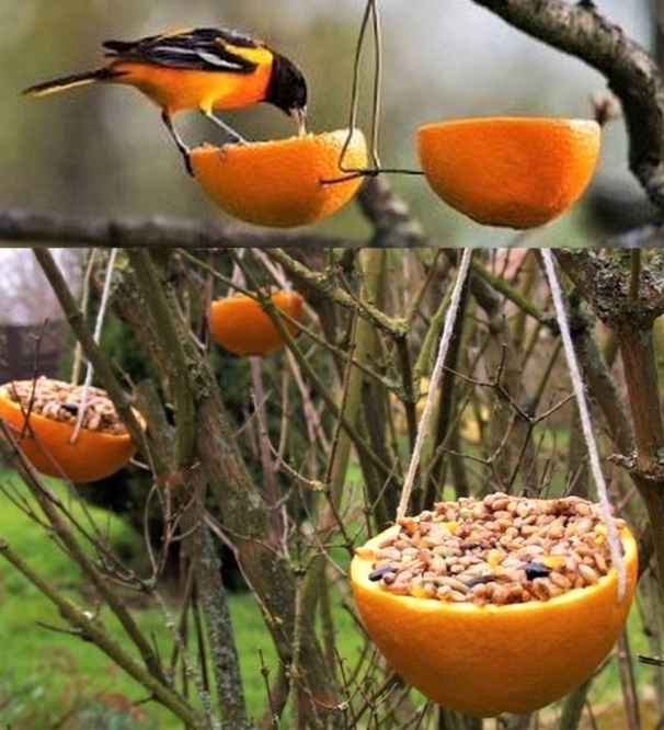 Astuces pour utiliser les peaux d'orange Astuces pour utiliser les peaux d'orange