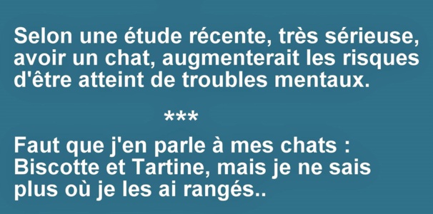 Citations et réflexions humoristiques Citations et réflexions humoristiques