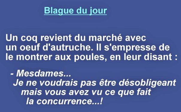 Citations et réflexions humoristiques