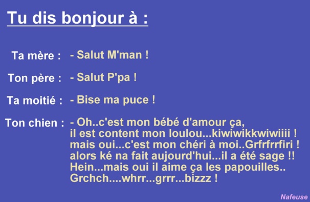 Citations et réflexions humoristiques Citations et réflexions humoristiques