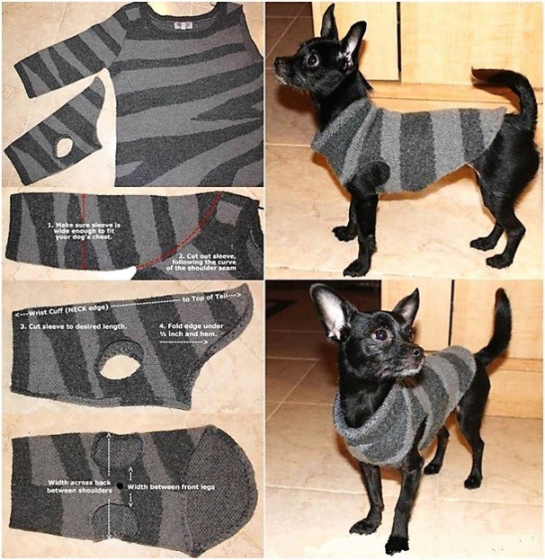 Astuces faire un pull pour chien