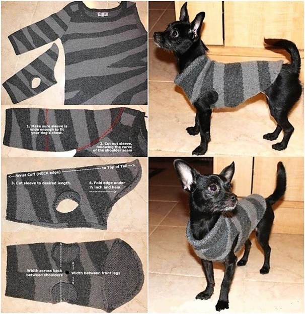 Astuces faire un pull pour chien Astuces faire un pull pour chien