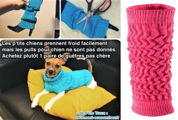 Astuces Faire Un Pull Pour Chien Astuces Faire Un Pull Pour Chien