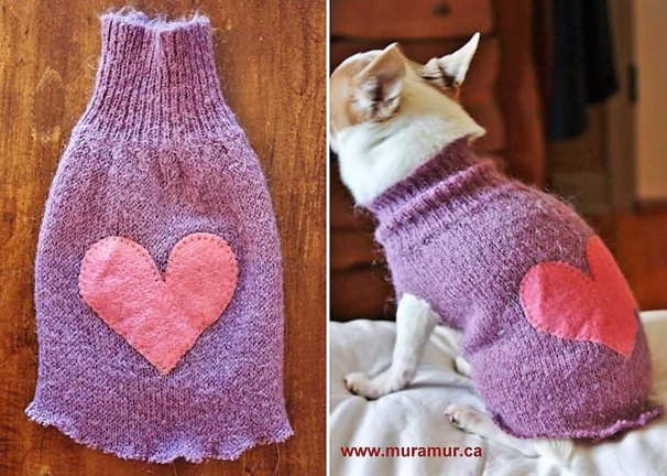 Astuces faire un pull pour chien