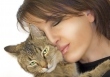 La ronron thérapie : ces chats qui nous guérissent ! La ronron thérapie : ces chats qui nous guérissent !