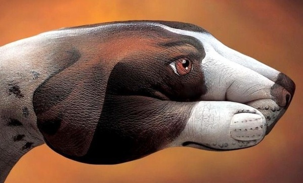 Art insolite : de magnifiques peintures sur mains ! Art insolite : de magnifiques peintures sur mains !