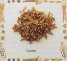 10 épices à connaitre et à consommer ! 10 épices à connaitre et à consommer !