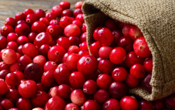 cranberries