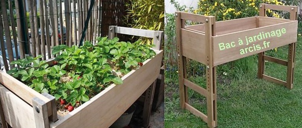 Idées plantations fraisiers Idées plantations fraisiers