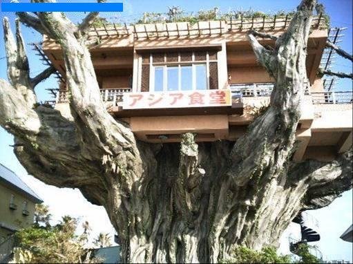 ça, c'est la maison de Robinson Crusoé, non ? ça, c'est la maison de Robinson Crusoé, non ?