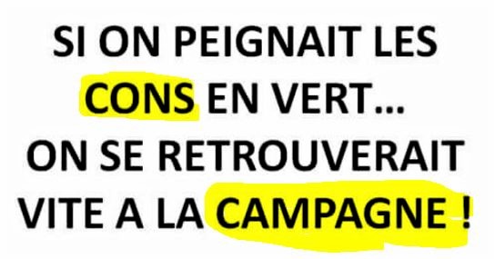 Pensées, réflexions et citations sarcastiques