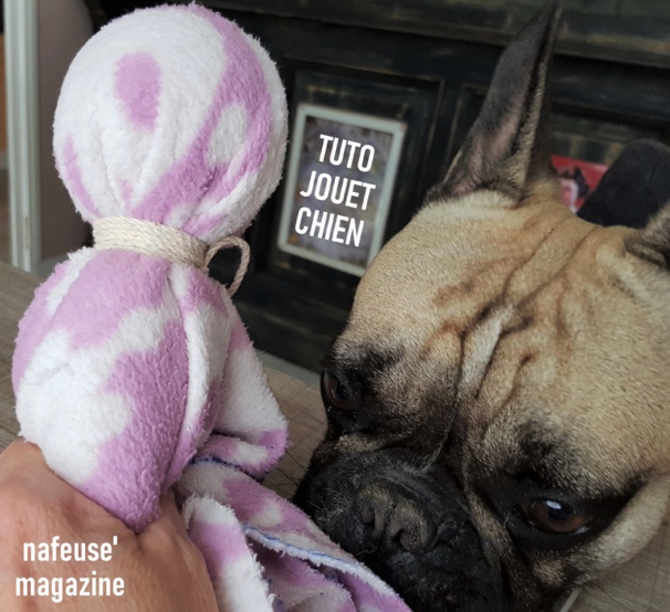 Tutoriel faire un jouet pour chien Tutoriel faire un jouet pour chien