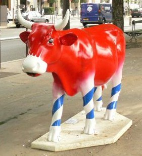 Art insolite : des vaches sur leur 31 !