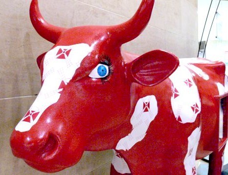 Art insolite : des vaches sur leur 31 !