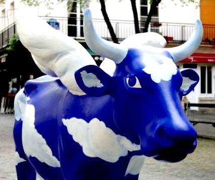 Art insolite : des vaches sur leur 31 !