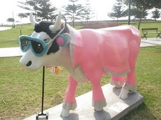 Art insolite : des vaches sur leur 31 ! Art insolite : des vaches sur leur 31 !