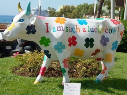 Art insolite : des vaches sur leur 31 !